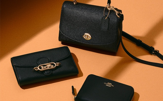 Coach Outlet Cyber Monday Deals – 75% Off! | Free Stuff Finder