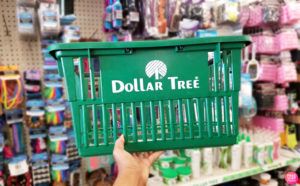 FREE $25 to Spend at Dollar Tree! (New TCB Members)