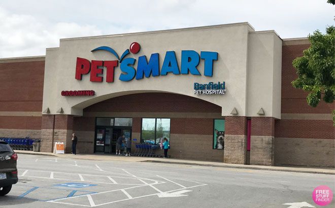 does petsmart sell dog ice cream