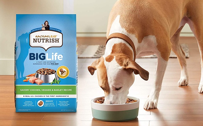 nutrish dog food target