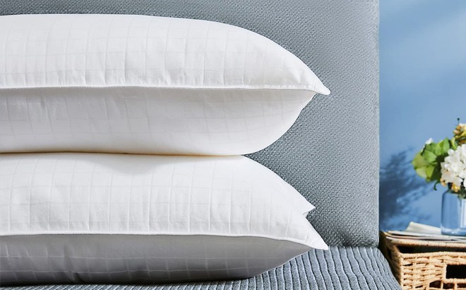 Queen Pillows 2-Pack $18.49!