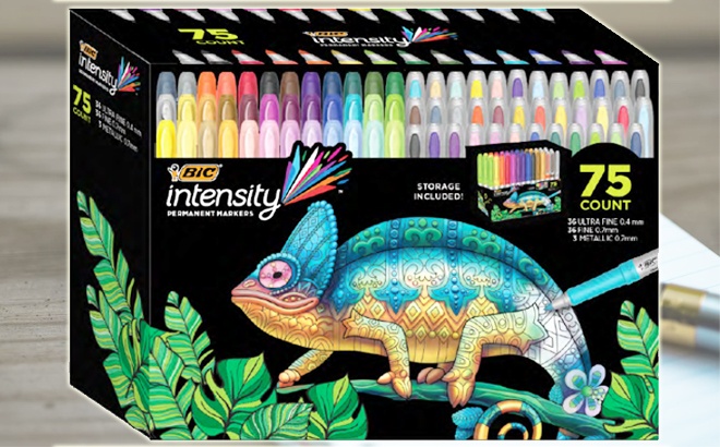 BIC Creativity Kit