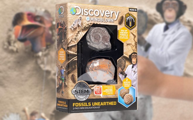 Discovery Excavation Kits $4.99 (Reg $20)!