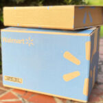 Two Walmart Delivery Boxes in the Patio