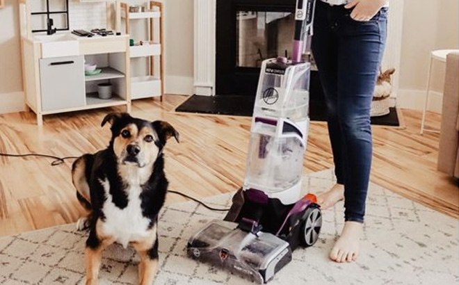 Hoover Pet Carpet Cleaner $139