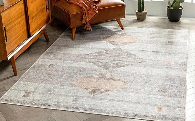 Washable Rugs $27.99!