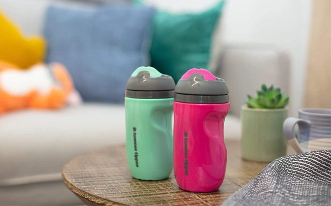 Tommee Tippee Insulated Sippee Toddler Sippy Cup, Spill-Proof, 2 Count  $7.99 (Retail $14.99)