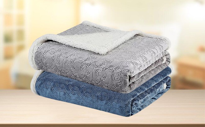 Plush Throw Blankets $19.99 (Reg $58)