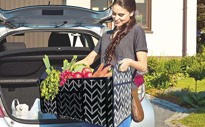 Trunk Organizer $26 Shipped (Reg $50)