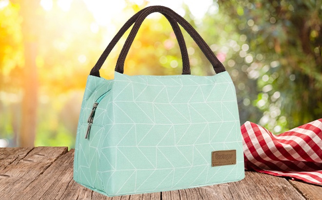 Cooler Lunch Bags $7