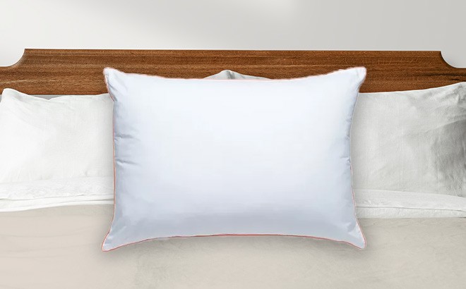 Sleep Pillows $10 (Reg $20)