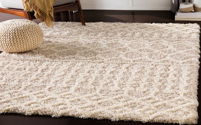 Plush Area Rug $34 (Reg $85)