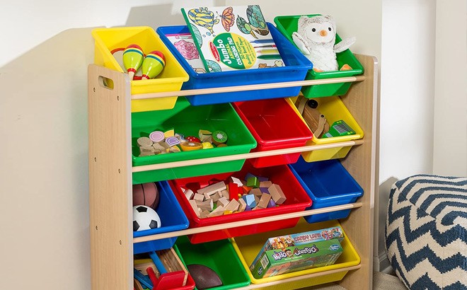 Toy Organizer $50 Shipped (Reg $120)