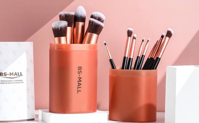 14-Piece Makeup Brush Set $11.99 (Reg $20)