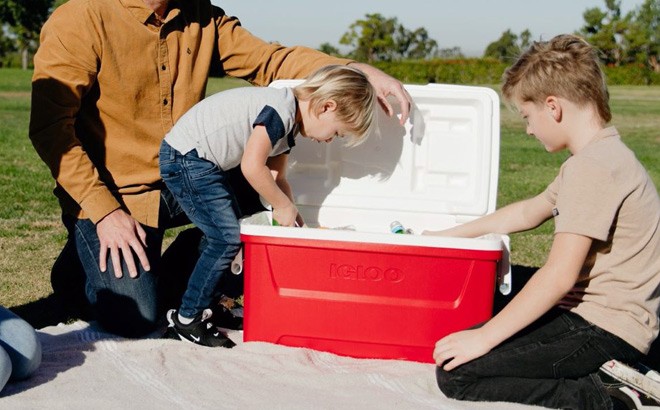 Igloo 48-Quart Ice Chest Cooler $19.88