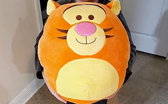 Squishmallow Plush Toys $10!