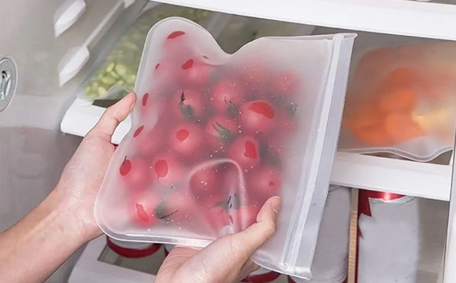 Silicone Food Storage 10-Piece Set $24.99