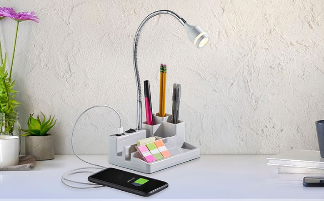 LED Lamp with USB Port & Storage $19.99