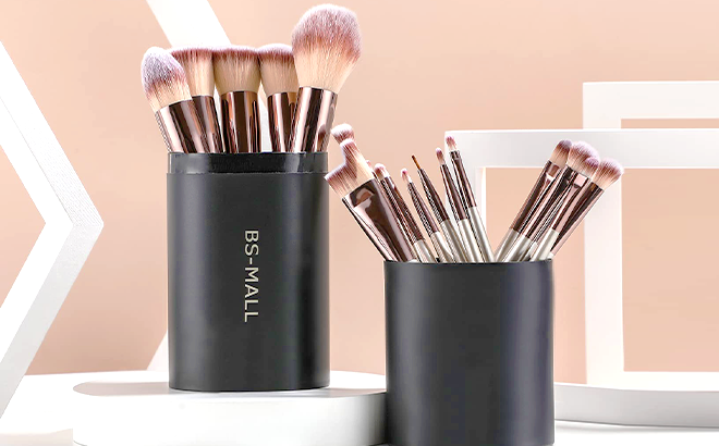 18-Piece Makeup Brush Set $10.99