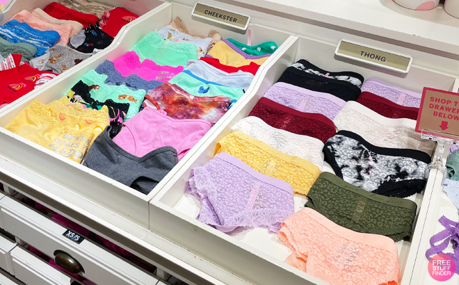 Victoria's Secret: Panties 5/$15 OR $3 Each (In-Store Only)