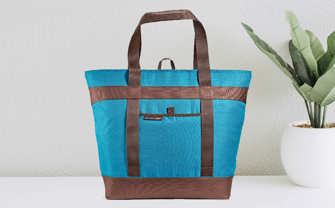 Rachael Ray Thermal Tote $16.80