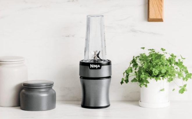 Ninja Nutri-Blender Just $19!