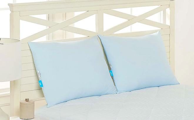 Bed Pillows 2-Pack $24 Shipped