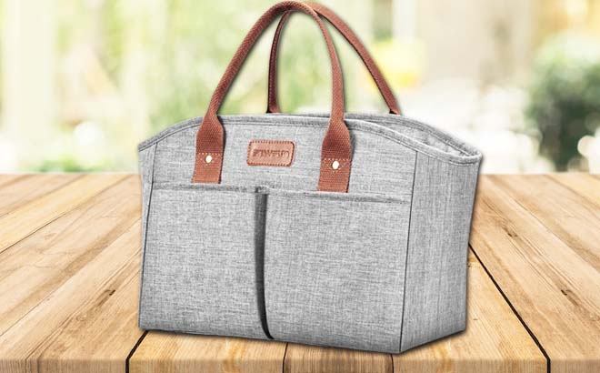 Insulated Thermal Lunch Tote Bag $13.86