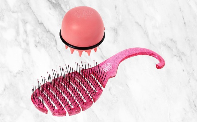 Wet Brush 2-Piece Set for $11 Shipped