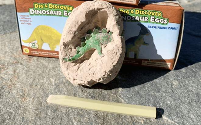 Fun Dig Kit $10.99 Shipped