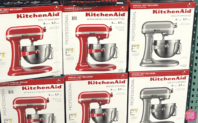 KitchenAid Professional 6- Quart Stand Mixer