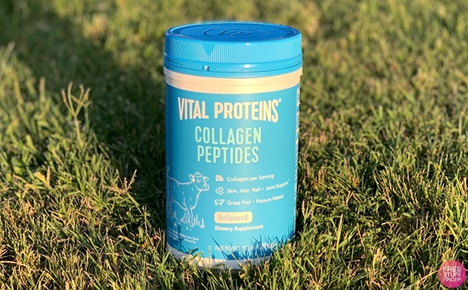 Vital Proteins Collagen Peptides Powder Bottle in Grass