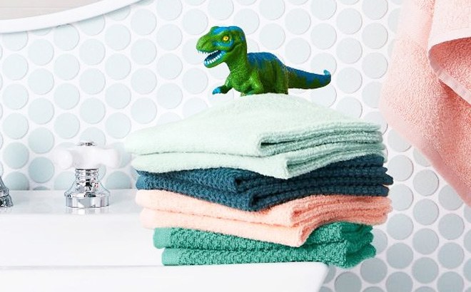 Washcloth 8-Piece for $4