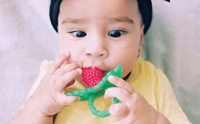 RaZberry Baby Teether Toy $4.98