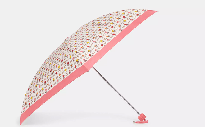 Uv Protection Mini Umbrella In Badlands Floral Print