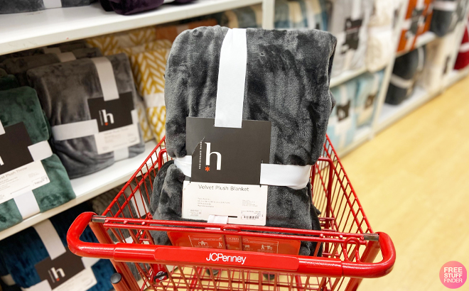 Velvet Plush Blankets $12.99