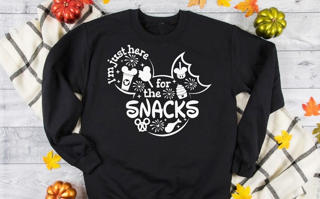 Disney Inspired Sweatshirts $25 Shipped