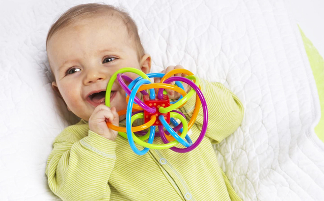 Rattle & Sensory Teether Toy $7