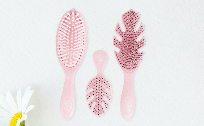 Wet Brush 3-Piece Set $15 Shipped