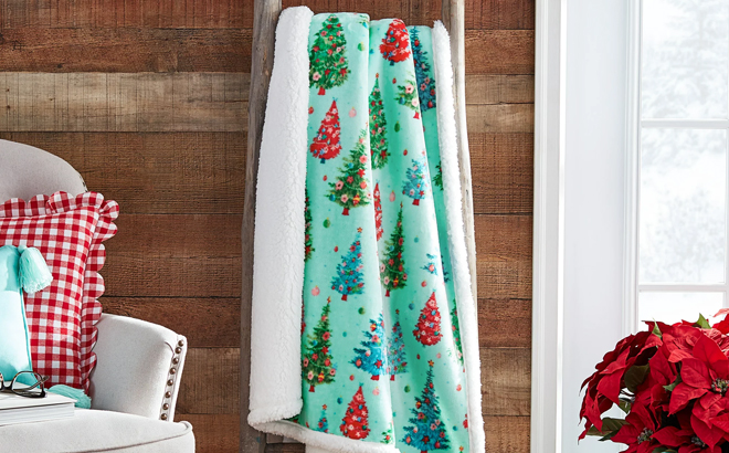 Pioneer Woman Plush Throws $7