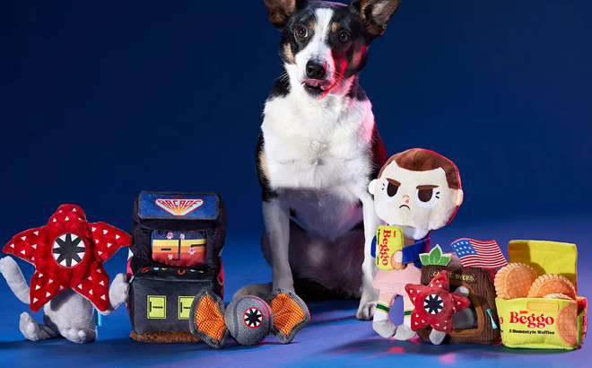 Stranger Things Dog Toys $3.99