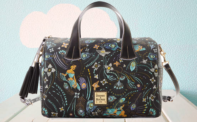 Aladdin Dooney Bourke Bag