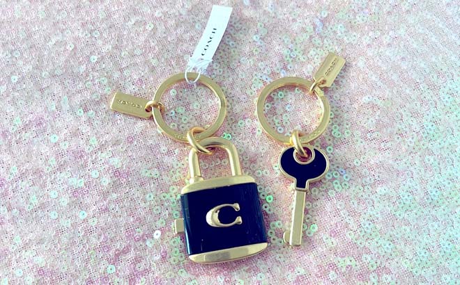 Shop Coach 2023 SS Logo Outlet Keychains & Bag Charms (49314) by