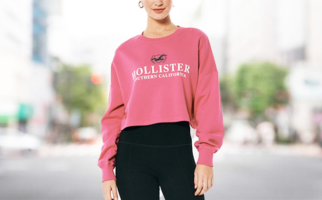 Hollister Sweatshirt