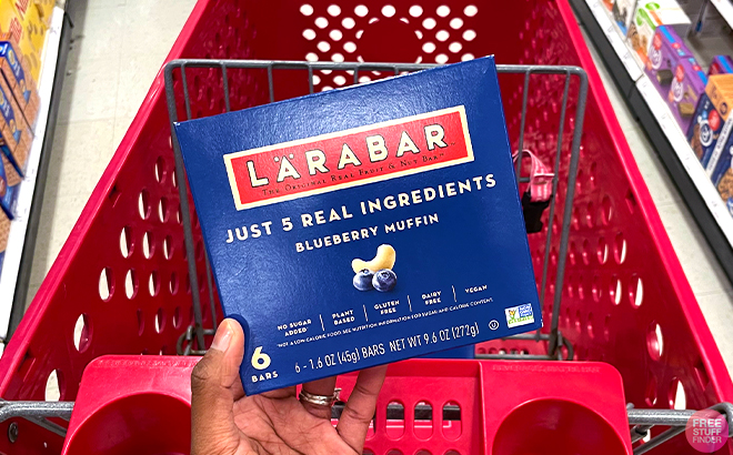 Larabar Bars 6 Count