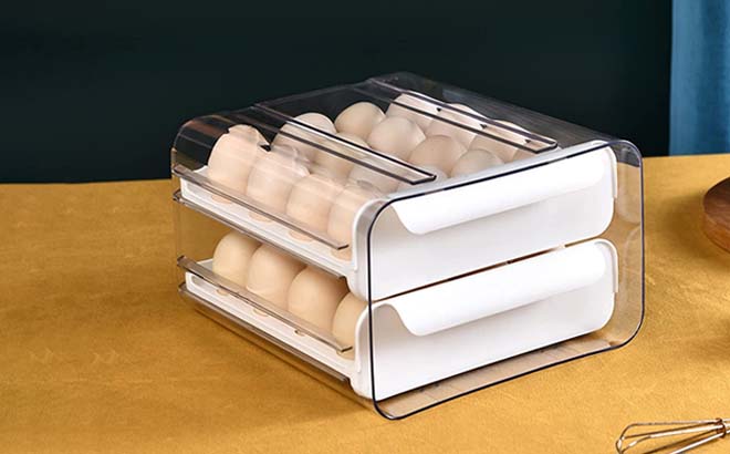 Large Egg Storage Container 1