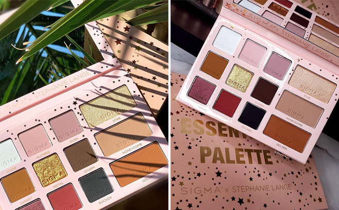 THE ESSENTIALS PALETTE