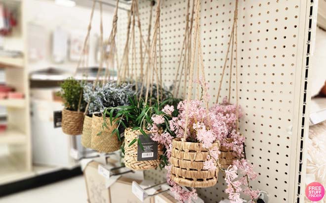 Threshold Hanging Plants