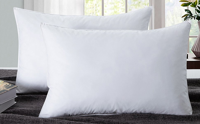 2-Piece Pillow Set $25