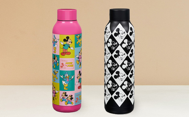 Disney Collection Mickey Mouse Mickey and Friends Insulated Water Bottle -  JCPenney